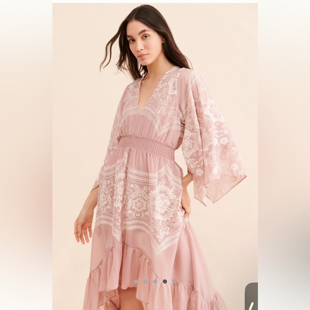 Anthropologie Embroidered Ruffle Dress - Picture 4 of 4
